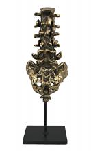 Noir AB-157BR - Vertebrae Sculpture, Antique Brass, Matte Black Base, 5.5"W AB-157BR