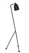 Noir LAMP445MTB - Asti Floor Lamp, 1-Light, Matte Black, 72"H LAMP445MTB