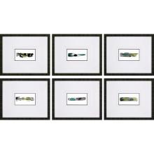 Paragon 1199 - Ramsar Framed Art, Set of 6, Gray, Black Frame Color, 21"W 1199