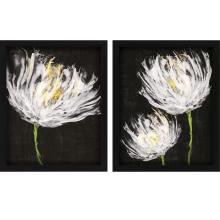 Paragon 13071 - Tulips on Black Framed Art, Set of 2, Black, Black Frame Color, 25"W 13071