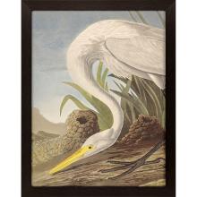 Paragon 13340 - White Heron Framed Art, Gray, Brown Frame Color, 41"W 13340