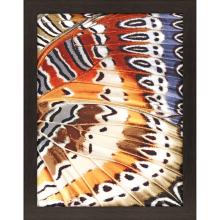 Paragon 13677 - Flitter Focus Framed Art, Brown, Blue, Red, Brown Frame Color, 35"W 13677