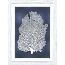 Paragon 14010 - Sea Fan on Blue I Framed Art, Blue, White Frame Color, 34"W 14010