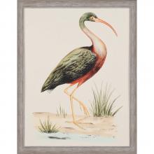 Paragon 1458 - Water Bird I Framed Art, Green, Silver Frame Color, 31"W 1458