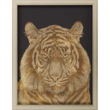 Paragon 14788 - Tiger Portrait Framed Art, Orange, Gold Frame Color, 27"W 14788