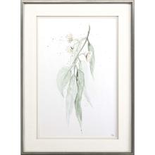 Paragon 14888 - Delicate Eucalyptus I Framed Art, Green, Silver Frame Color, 28"W 14888