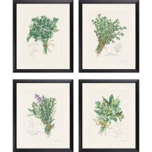 Paragon 1491 - Herbs Framed Art, Set of 4, Green, Black Frame Color, 19"W 1491