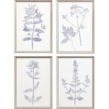 Paragon 14928 - Navy Botanicals Framed Art, Set of 4, Blue, Silver Frame Color, 16"W 14928