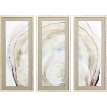 Paragon 14929 - Oyster Shell Framed Art, Set of 3, Yellow, White Frame Color, 18"W 14929