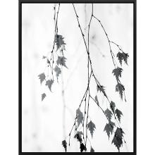 Paragon 14999 - Hanging Canvas, Blue, Black Frame Color, 37"W 14999