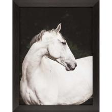 Paragon 15054 - Elegant Framed Art, White, Brown Frame Color, 35"W 15054