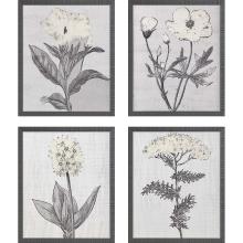 Paragon 15124 - Pure Garden Framed Art, Set of 4, Gray, Black Frame Color, 18"W 15124