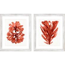 Paragon 15249 - Ocean I Framed Art, Set of 2, Red, White Frame Color, 23"W 15249