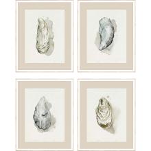 Paragon 15312 - Oysters on the Bay Framed Art, Set of 4, Gray, White Frame Color, 22"W 15312