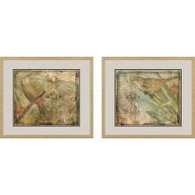 Paragon 15319 - Ornamental Bird I Framed Art, Set of 2, Green, Gold Frame Color, 29"W 15319