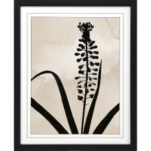 Paragon 15346 - Muscari Framed Art, Black, Black Frame Color, 33"W 15346