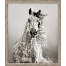 Paragon 15459 - Caballo de Andaluz Framed Art, Beige, Silver Frame Color, 39"W 15459