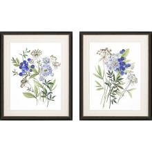 Paragon 15495 - Botana Framed Art, Set of 2, Blue, Black Frame Color, 26"W 15495