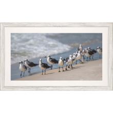 Paragon 15501 - What's Up Gulls Framed Art, Blue, White Frame Color, 43"W 15501