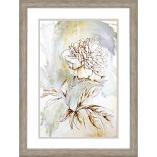 Paragon 15670 - Beauty Within I Framed Art, Beige, Silver Frame Color, 37"W 15670