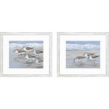 Paragon 15687 - Sandpipers Framed Art, Set of 2, Blue, White Frame Color, 30"W 15687