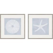 Paragon 15688 - Tide Treasures I Framed Art, Set of 2, Blue, Silver Frame Color, 26"W 15688