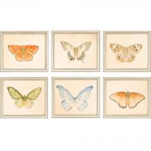 Paragon 1569 - Butterflies Framed Art, Set of 6, Blue, Green, Orange, Silver Frame Color, 14"W 1569