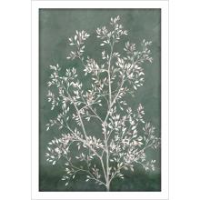 Paragon 15729 - Delicate Tree I Framed Art, Green, White Frame Color, 26"W 15729