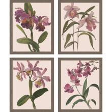 Paragon 15740 - Orchids Framed Art, Set of 4, Pink, Brown Frame Color, 18"W 15740