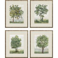 Paragon 15768 - Countryside Growth Framed Art, Set of 4, Green, Gold Frame Color, 19"W 15768