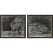 Paragon 22037 - Lion Framed Art, Set of 2, Black, Brown Frame Color, 39"W 22037