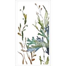 Paragon 22446 - Underwater Living I Framed Art, Blue, White Frame Color, 26"W 22446