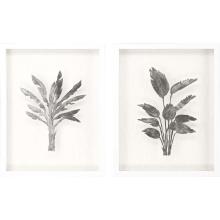 Paragon 22525 - Silver Palm I Framed Art, Set of 2, Silver Leaf, White Frame Color, 22"W 22525