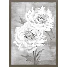 Paragon 22565 - Peony I Framed Art, Gray, Brown Frame Color, 27"W 22565