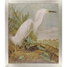 Paragon 22612 - White Egret Framed Art, Green, Silver Frame Color, 43"W 22612