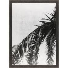 Paragon 22653 - Palm on Silver Leaf Framed Art, Black, Brown Frame Color, 43"W 22653