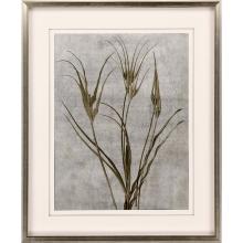 Paragon 2989 - Earth Balance I Framed Art, Gray, Silver Frame Color, 43"W 2989