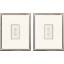 Paragon 31034 - Portrait Intaglio I Framed Art, Set of 2, Beige, Silver Frame Color, 18"W 31034