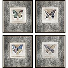 Paragon 31084 - Butterfly Framed Art, Set of 4, Black, Black Frame Color, 20"W 31084