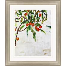 Paragon 31096 - Kumquat Tree Framed Art, Green, Silver Frame Color, 41"W 31096