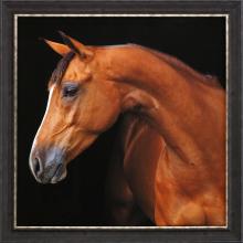 Paragon 31121 - Jack the Horse Framed Art, Brown, Brown Frame Color, 42"W 31121