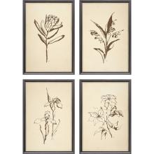 Paragon 31126 - Vintage Line Framed Art, Set of 4, Brown, Black Frame Color, 13"W 31126