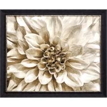 Paragon 31129 - Wall Flower I Framed Art, Brown, Brown Frame Color, 46"W 31129