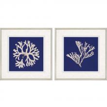 Paragon 3506 - Seaweed on Navy I Framed Art, Set of 2, Blue, Silver Frame Color, 27"W 3506