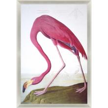 Paragon 4069 - Flamingo Framed Art, Pink, Silver Frame Color, 36"W 4069