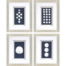 Paragon 4078 - Sand Dollars Framed Art, Set of 4, Blue, Gold Frame Color, 18"W 4078