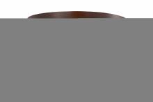 Meyda Black 157592 - 16" Wide Whispering Pines Flushmount