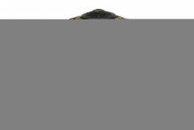 Meyda Black 65961 - 22" Wide Iris W/Hooks Shade