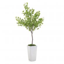 John-Richard JRB-4655 - White Ginko Botanical, Green, White Planter, 55&34;W JRB-4655