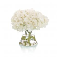 John-Richard JRB-4728W - Real Touch Hydrangea Botanical, White, Clear Vase, 12&34;W JRB-4728W